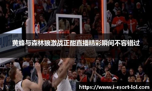 黄蜂与森林狼激战正酣直播精彩瞬间不容错过