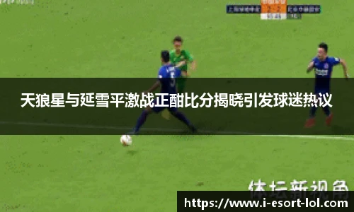 天狼星与延雪平激战正酣比分揭晓引发球迷热议